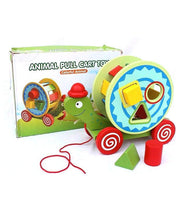Wooden Animal Pull Tortoise Green