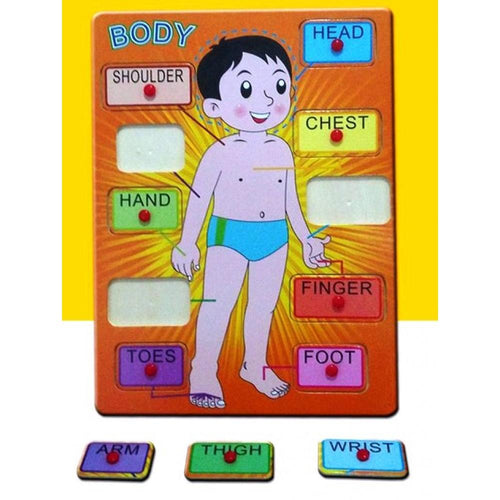 Wooden Human Body Blocks board