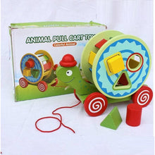 Wooden Animal Pull Tortoise Green