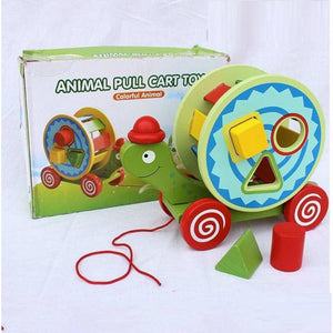 Wooden Animal Pull Tortoise Green
