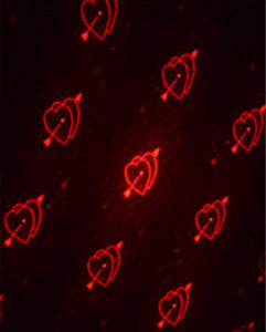 Heart Shape Anti-Collision Led Laser Fog Lamp,Running Tail Light-12V For All Bikes & Cars