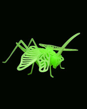 Glowing Grasshopper 3D Character